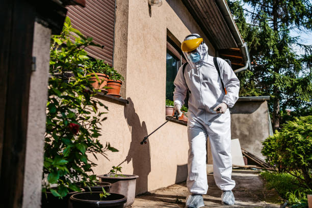 Best Mosquito Control Services  in Benwood, WV